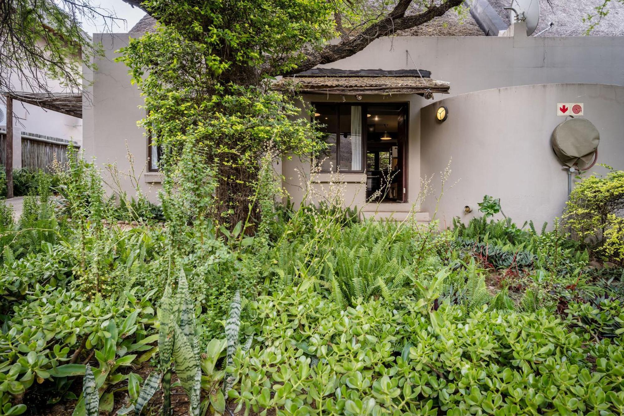 Raptors Wildlife Escapes Hoedspruit Exterior photo